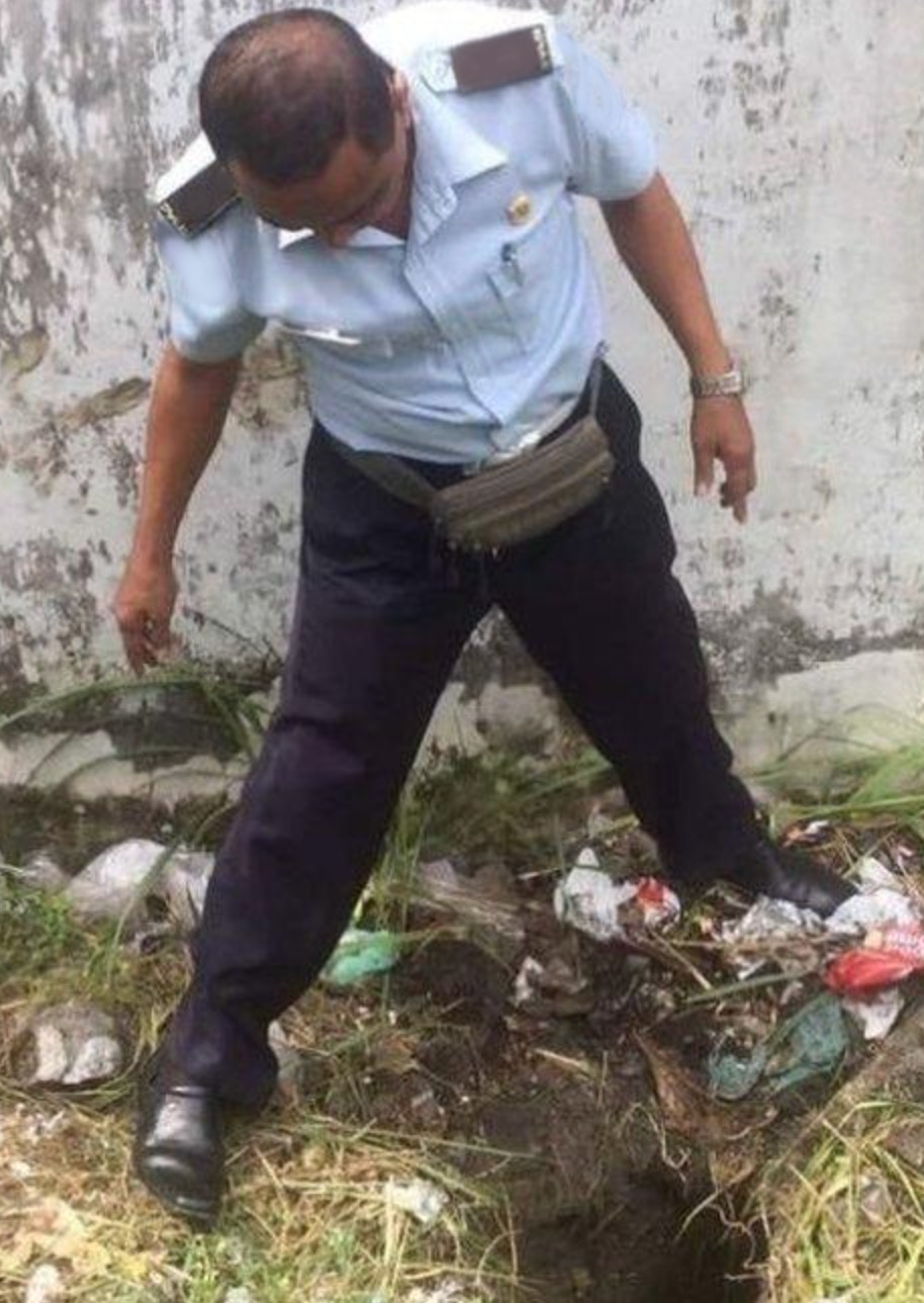 Do you think they're tunnelling IN or OUT???